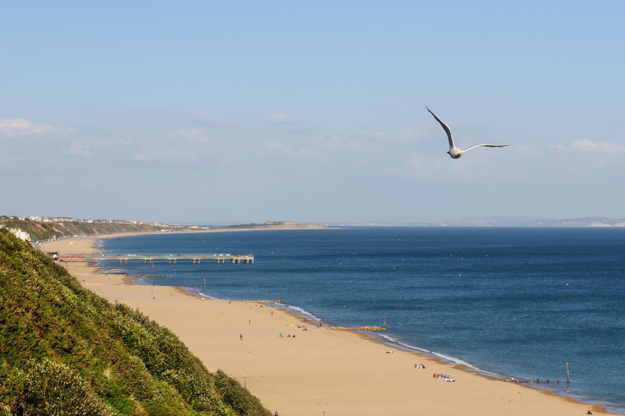 Modern Town Centre Flat - Free Shared Parking, King Size Bed, 5 Minutes Walk To Beach Bournemouth Exterior foto